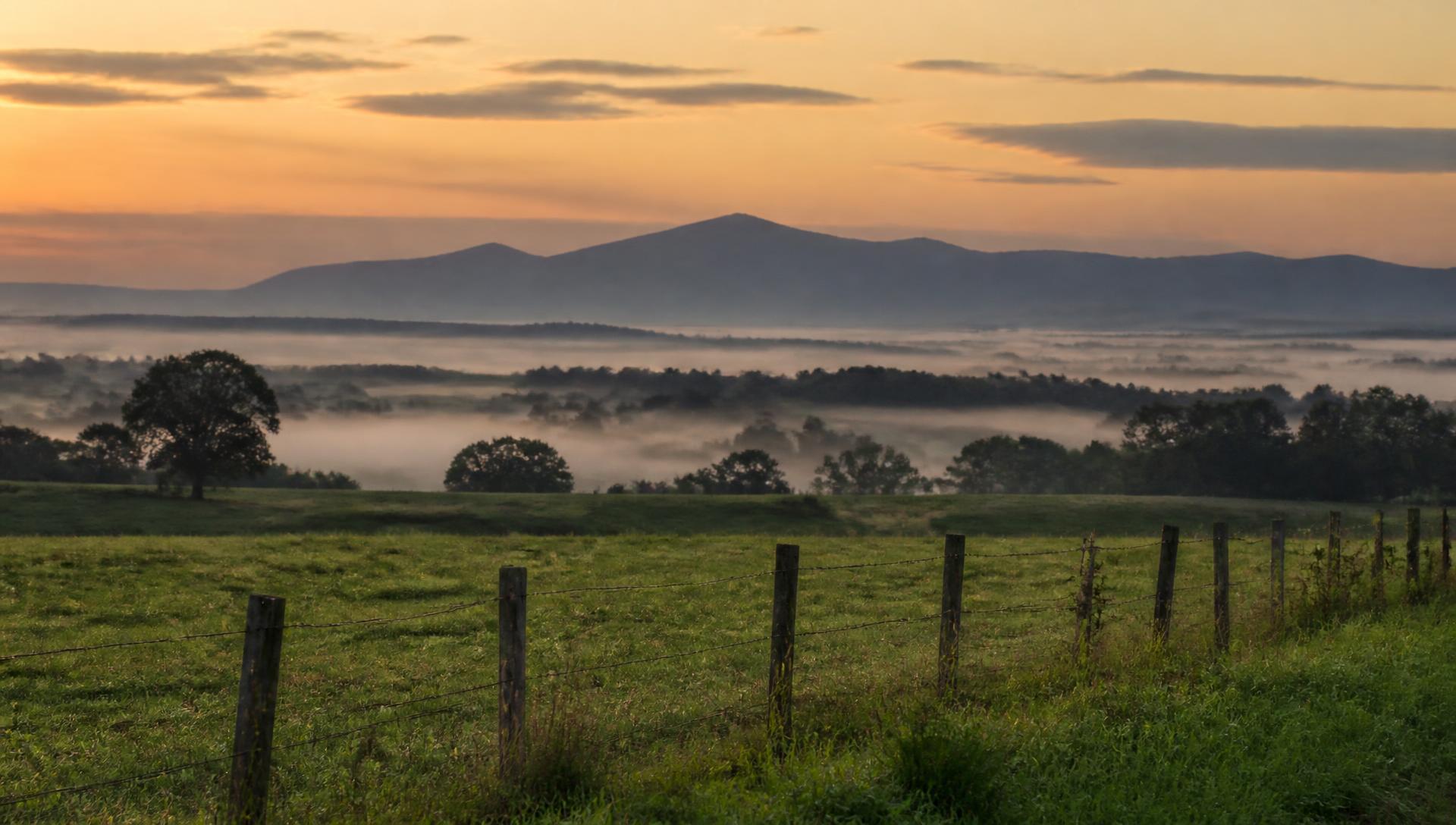 Shenandoah Valley farmland at dawn with mist over the pasture